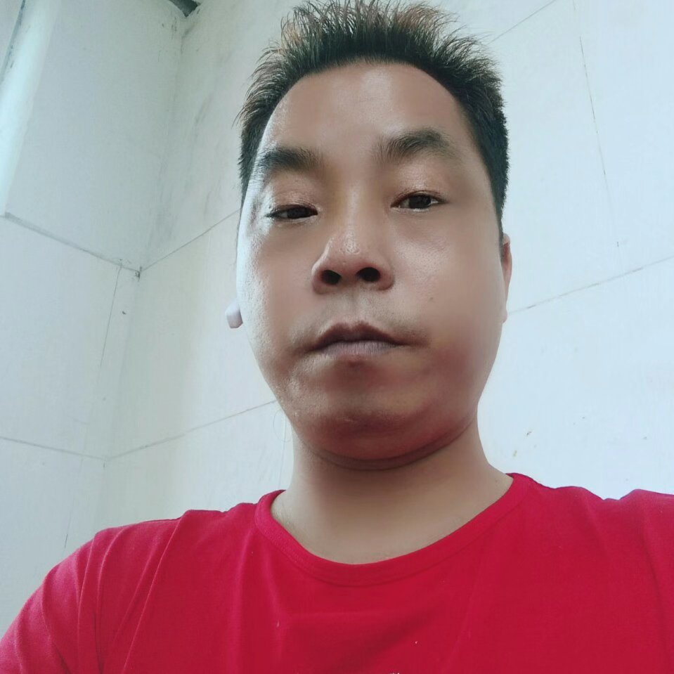 沉静挽手小熊猫的照片