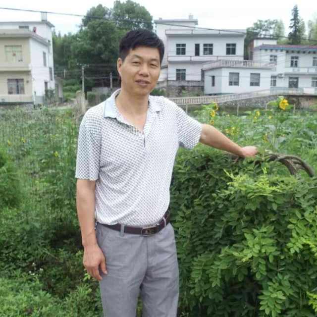 离歌回眸含蓄的照片