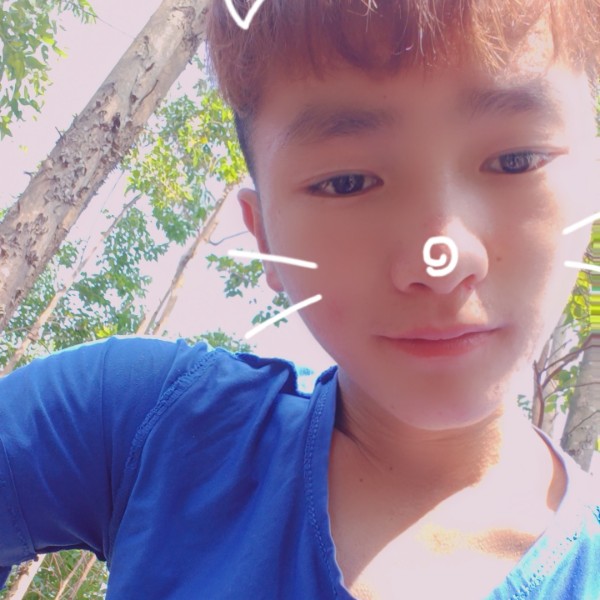 长情迎星愿的照片