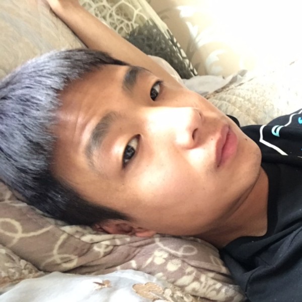 聪慧回首小熊猫的照片