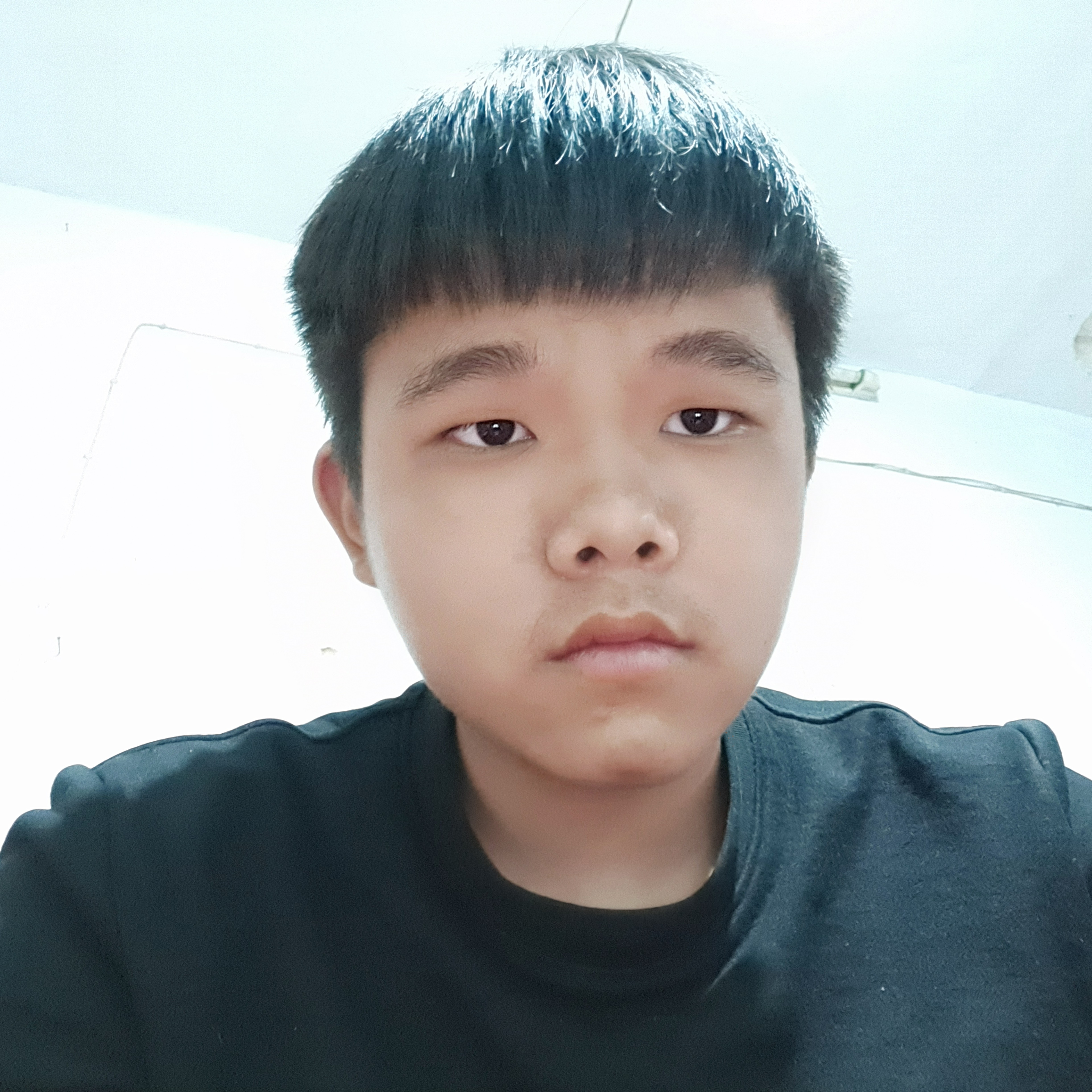 豌豆爱优秀的照片