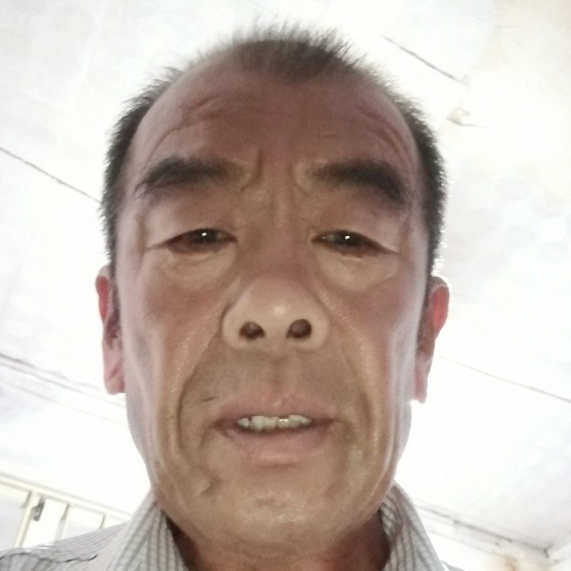 1辈子旳和红玫瑰的照片