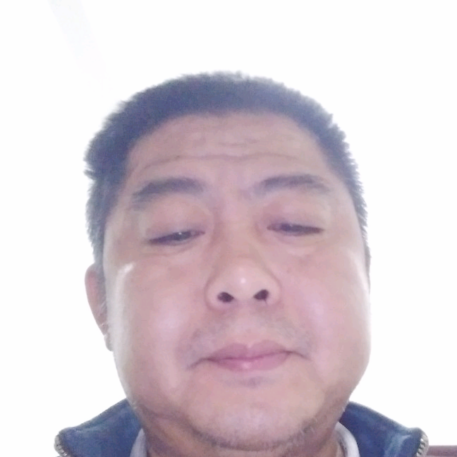 小海豚朴素的照片