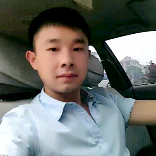 ~林中鸟~的照片