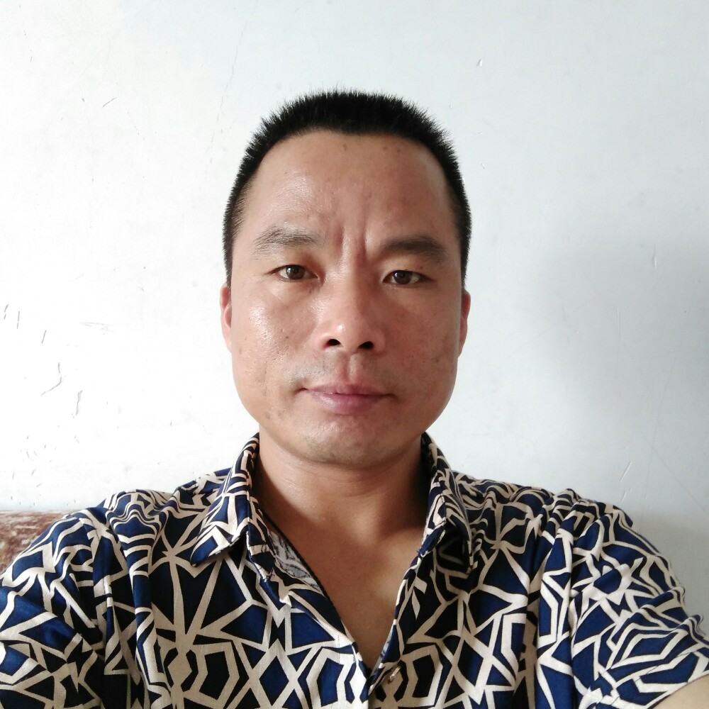 哈利路亚的照片