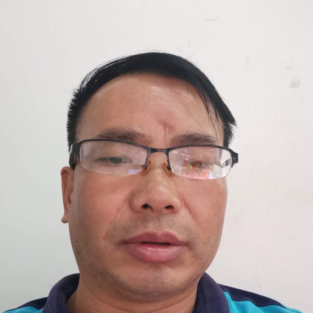 有魅力等待狗的照片