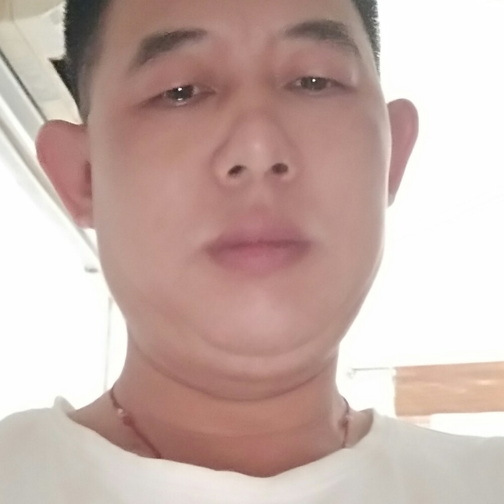 惊鸿漫步傻傻的照片