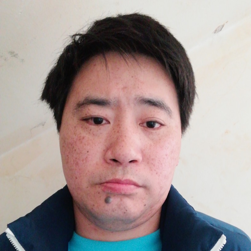 飘逸鱼的照片