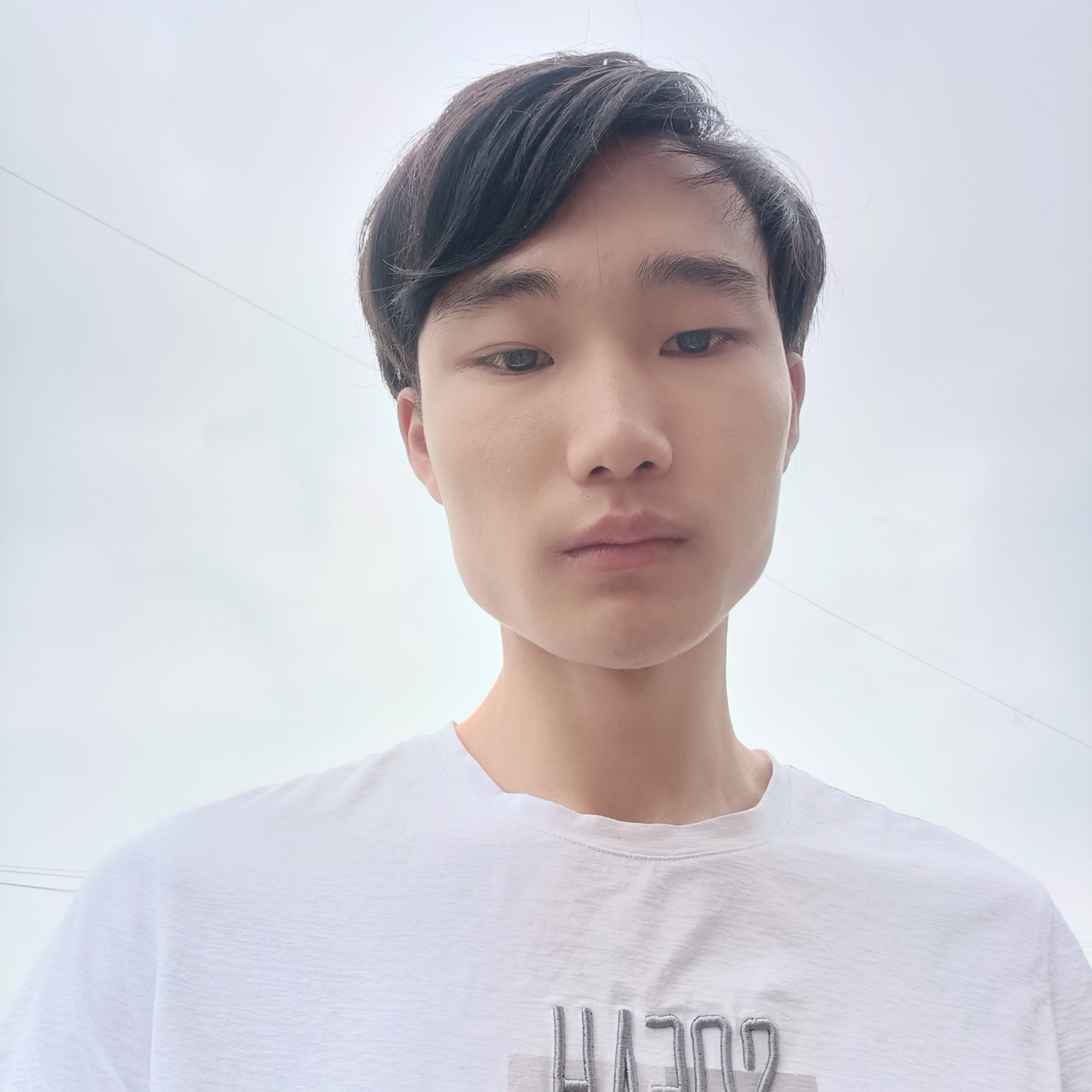 会员153832856的照片