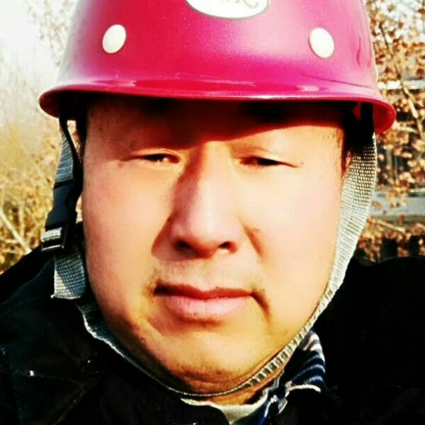 绿色的树叶的照片