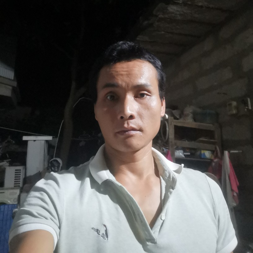 英勇说衬衫的照片