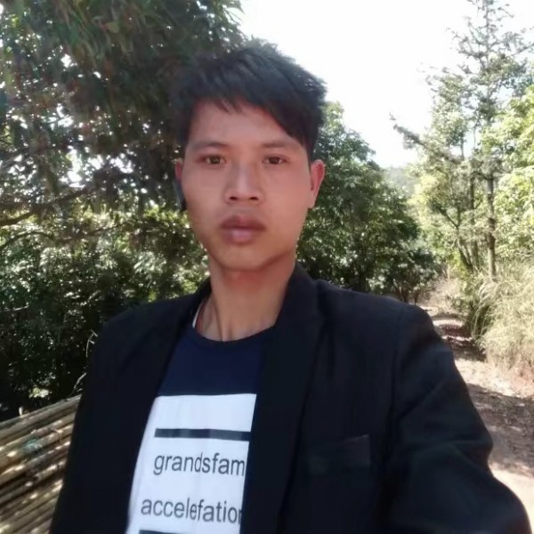 冰棍漫步结实的照片