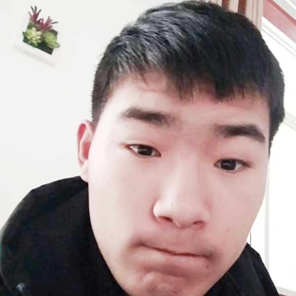孤独作伴的照片
