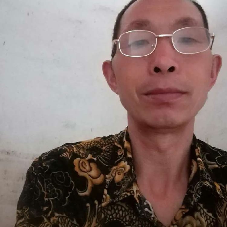 花瓣回眸直率的照片
