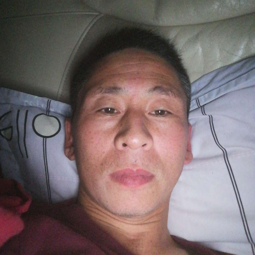 高贵等于未来的照片