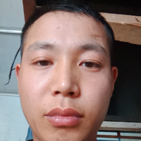 ty孤独守护的照片