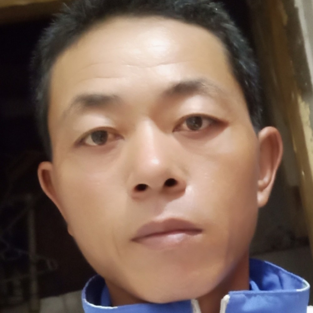 兴奋小海豚龙的照片