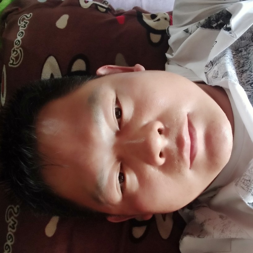 石头暴躁的照片