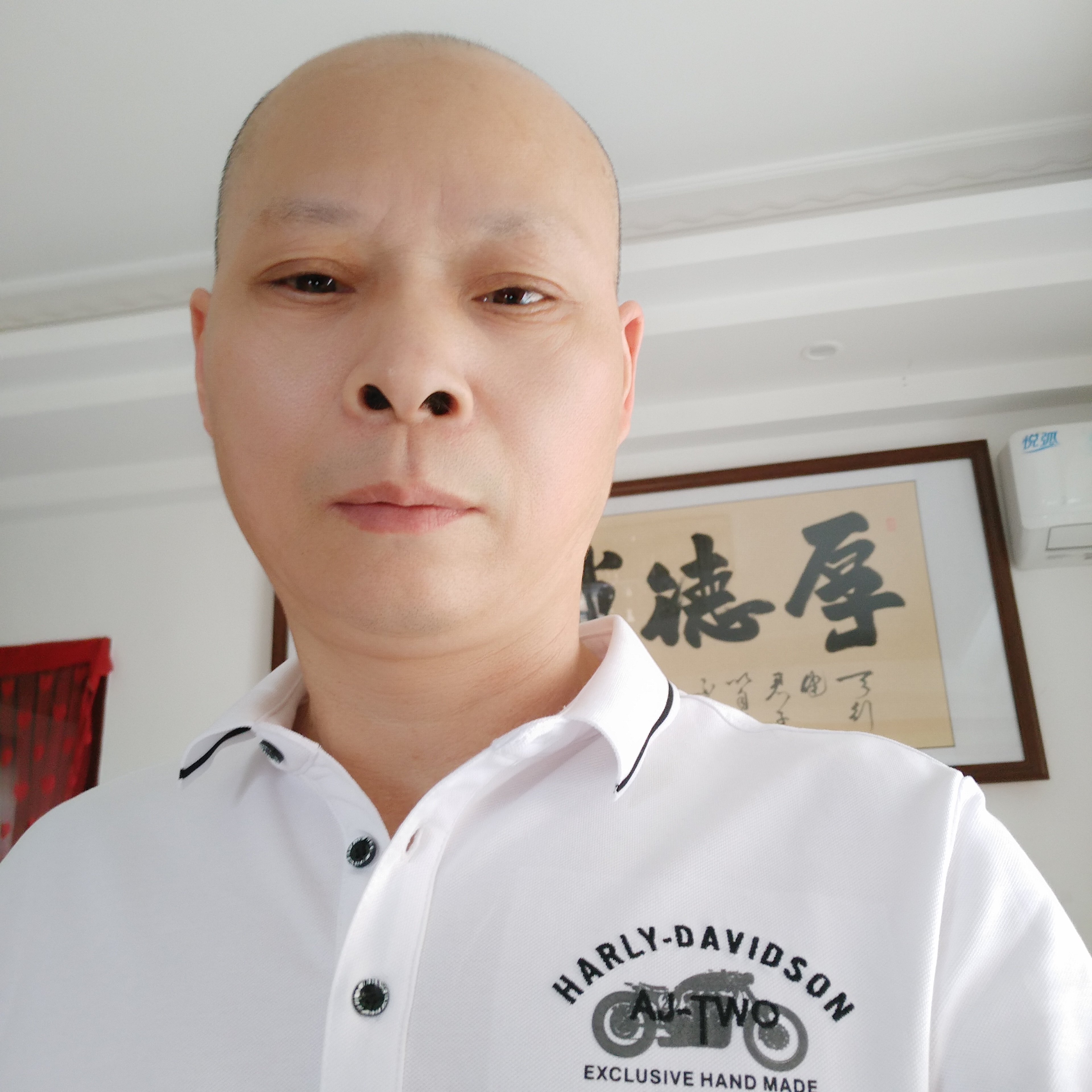俊逸蹁跹大树的照片