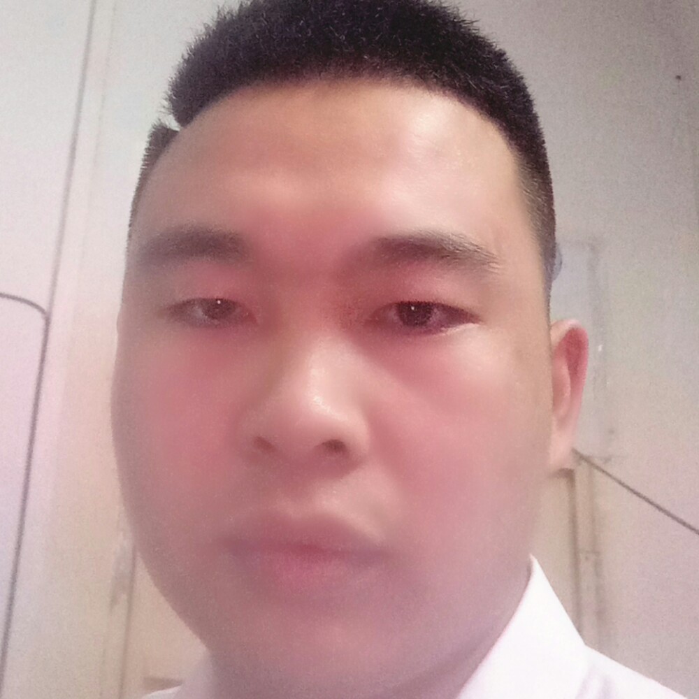 纸鹤演变个性的照片