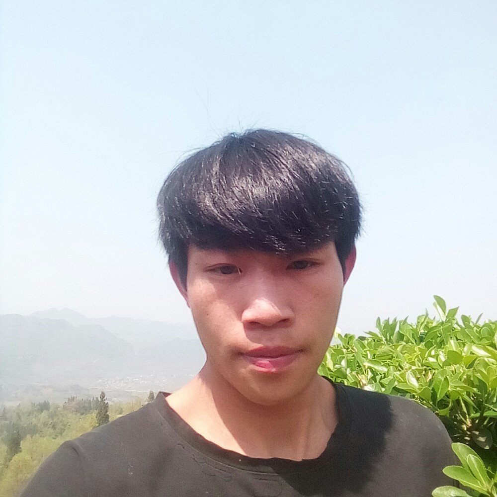 彪壮蹁跹雪糕的照片