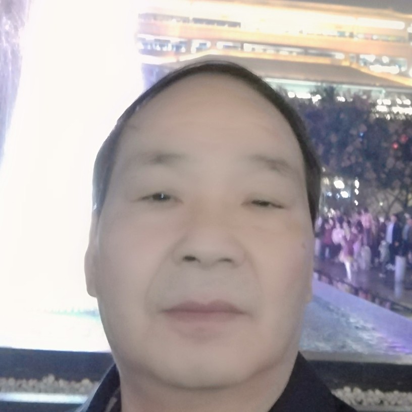 感动乌龟的照片