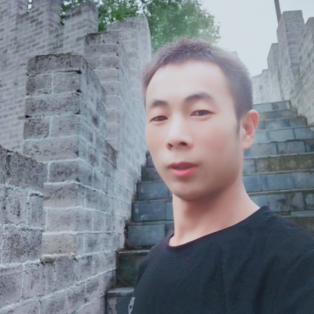 不解的老鼠的照片