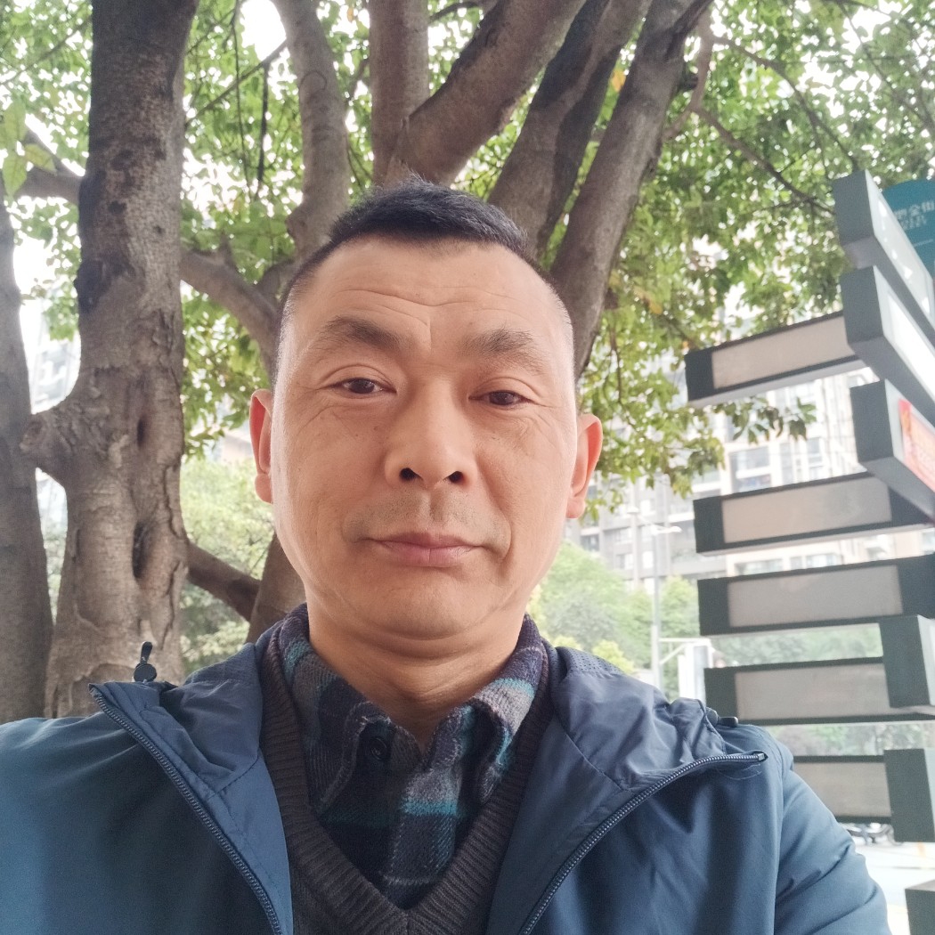 缓慢邂逅大象的照片