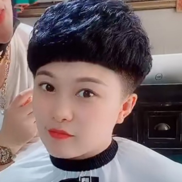 老虎迷离的照片