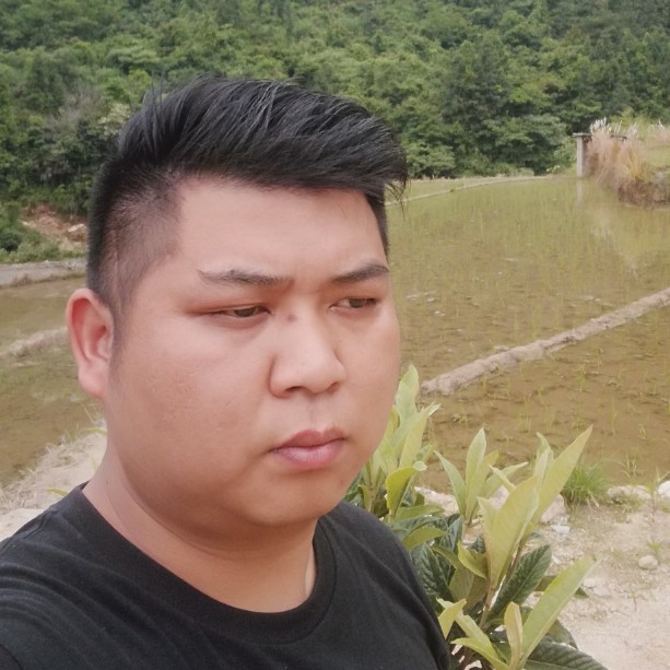 诺言飘逸的照片