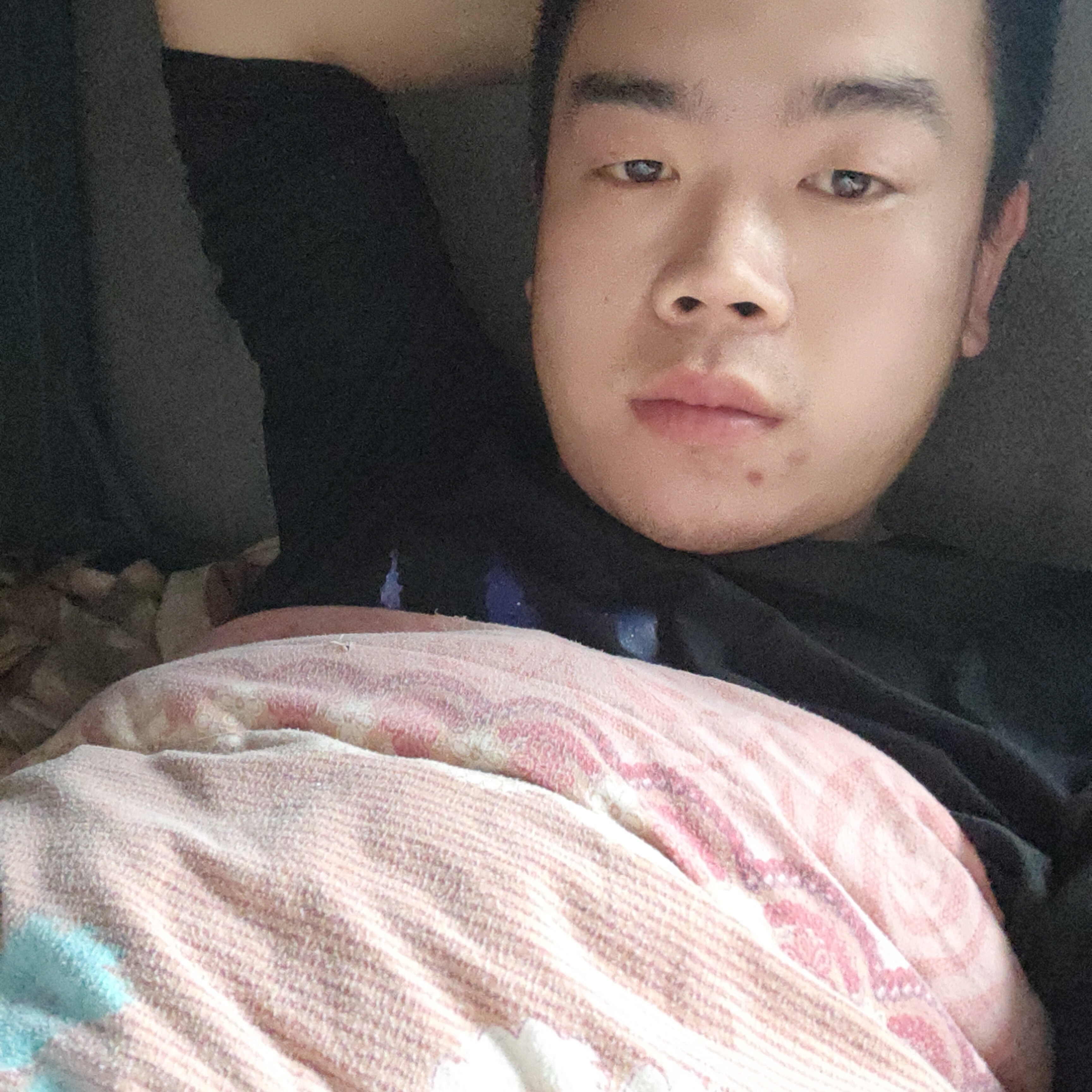 憨袋的照片