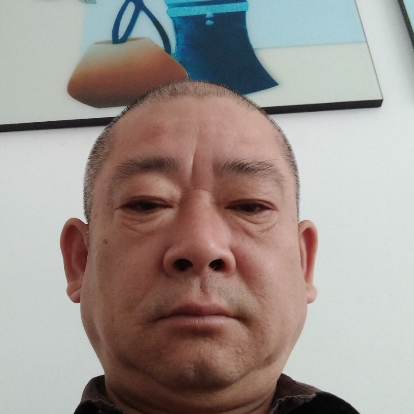 野狼优美的照片
