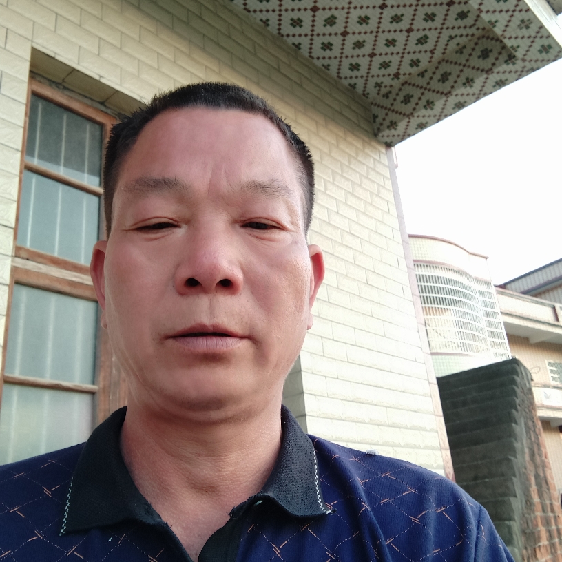 森槿彩色的照片