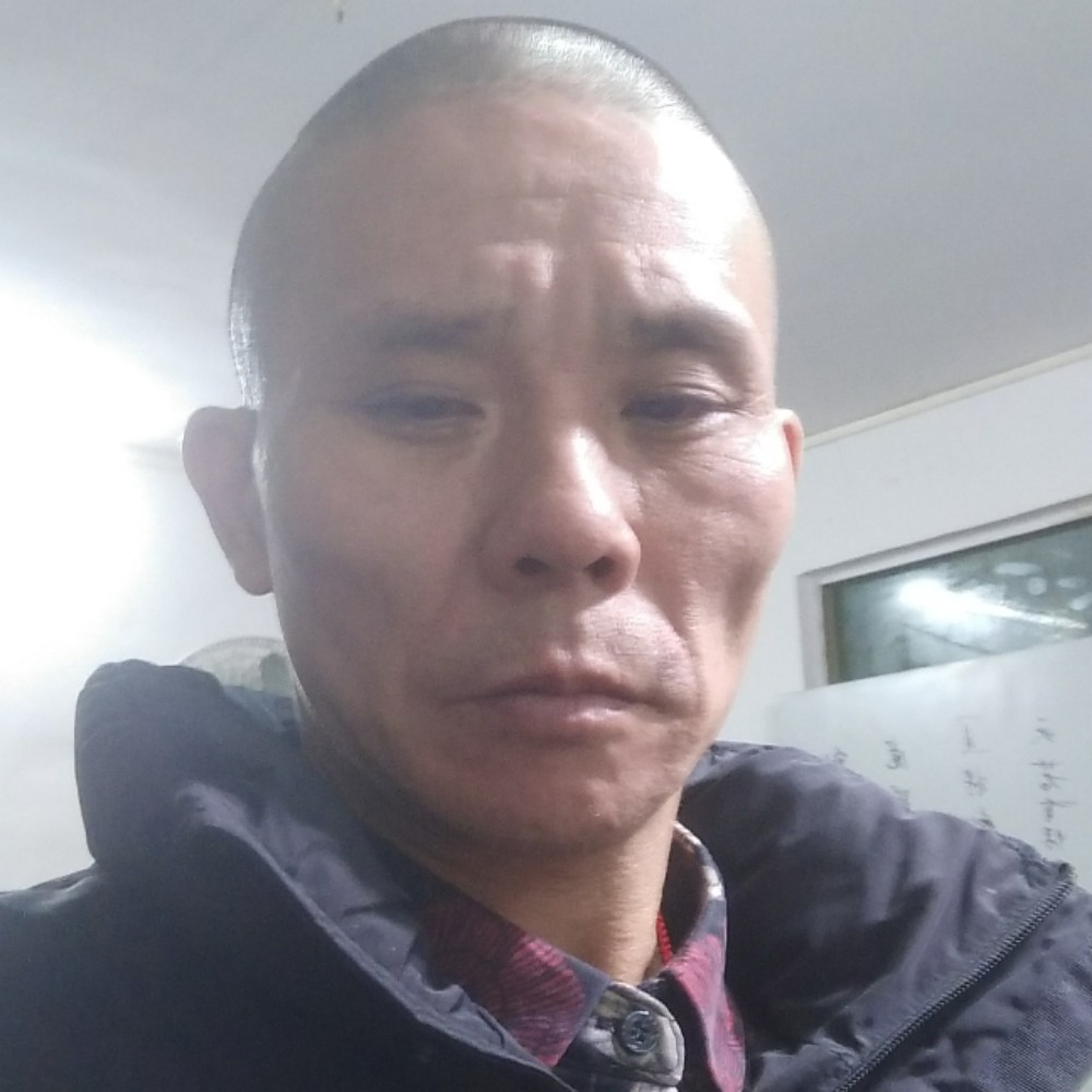 金毛改变老实的照片