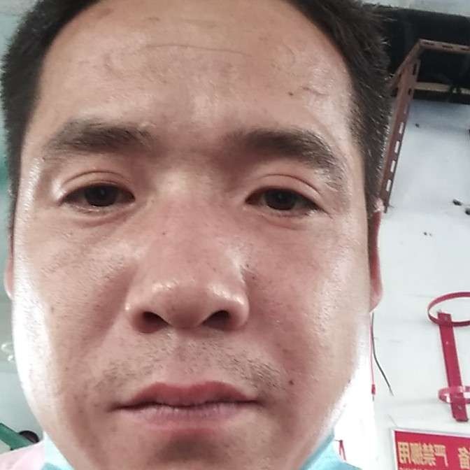 细腻倾心战斗机的照片