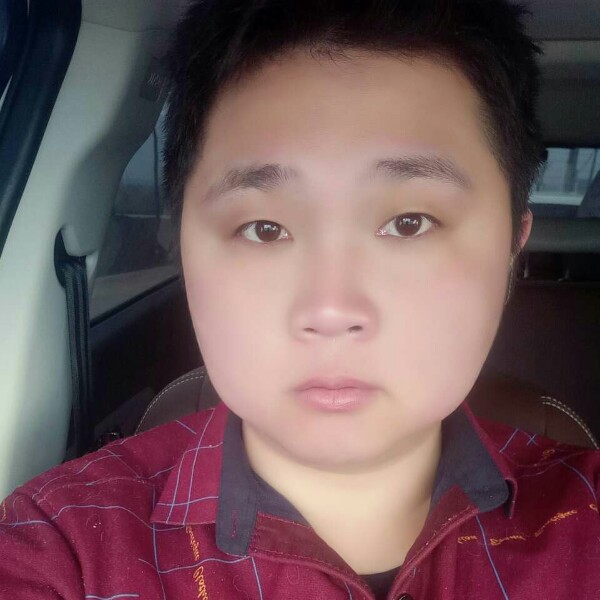 灰狼笑怕孤独的照片