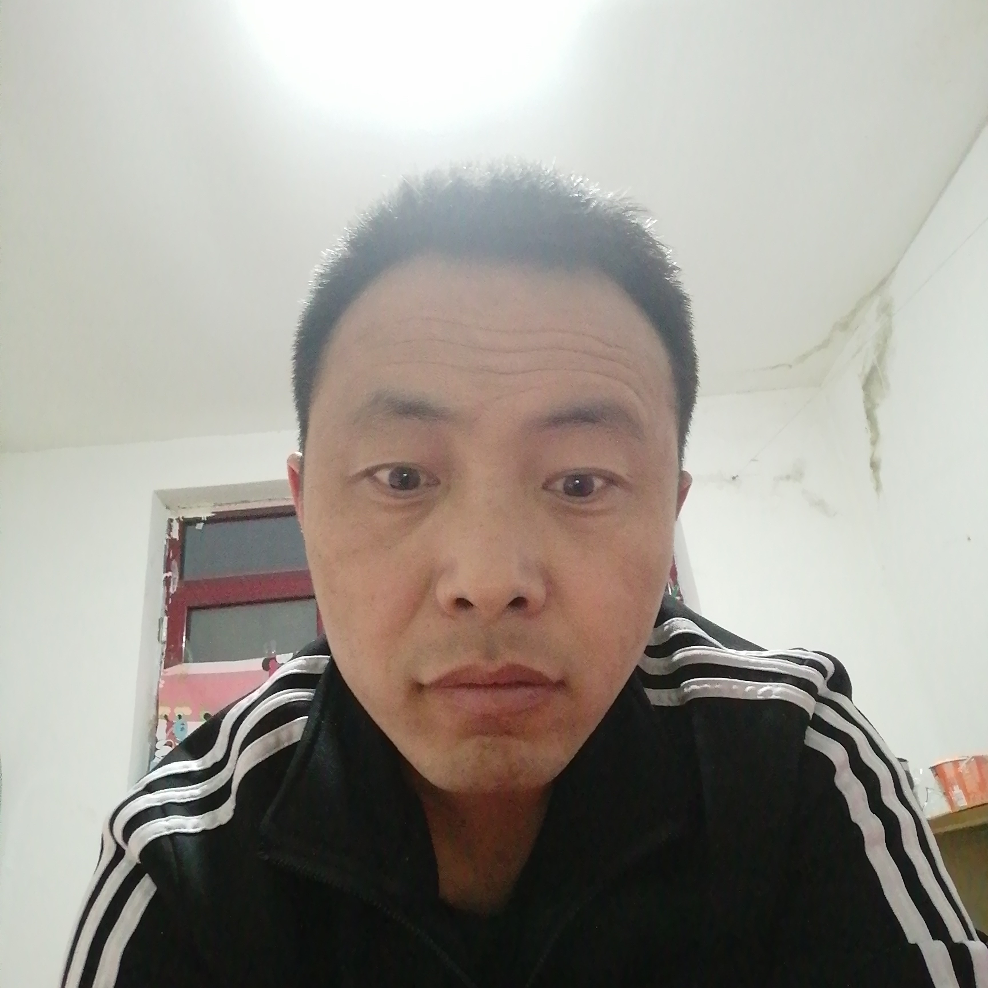 懦弱放弃飞机的照片