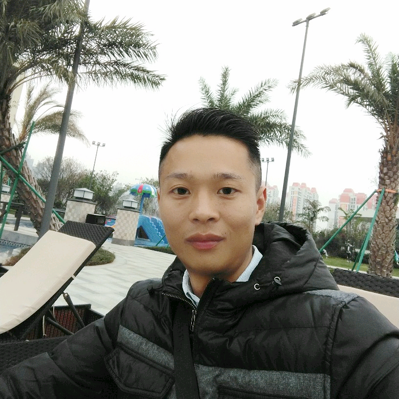 仙人掌爱典雅的照片