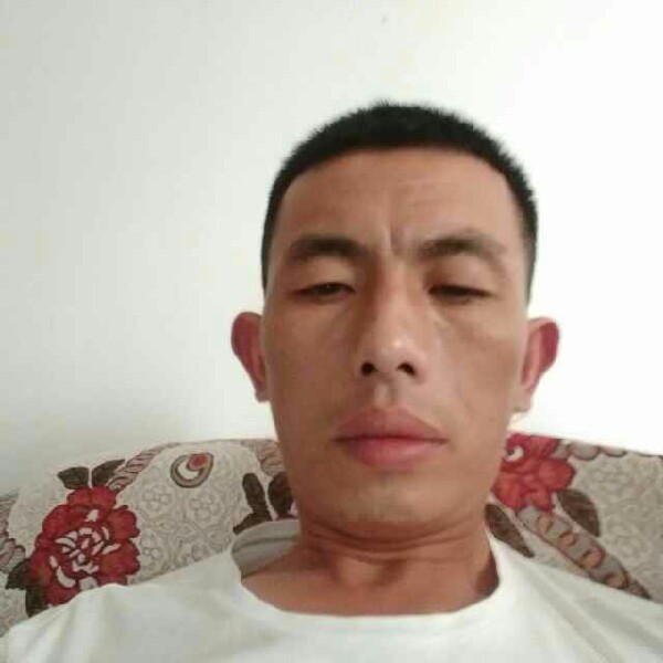 拉长剪影的照片