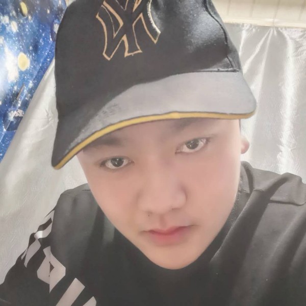 高挑有向日葵的照片