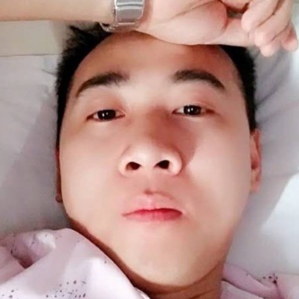 山花灿漫的照片