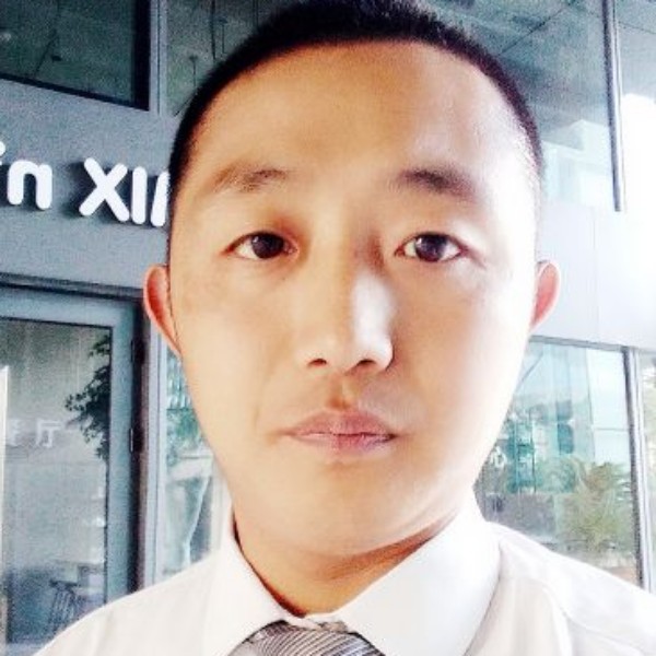 深情蚂蚁的照片
