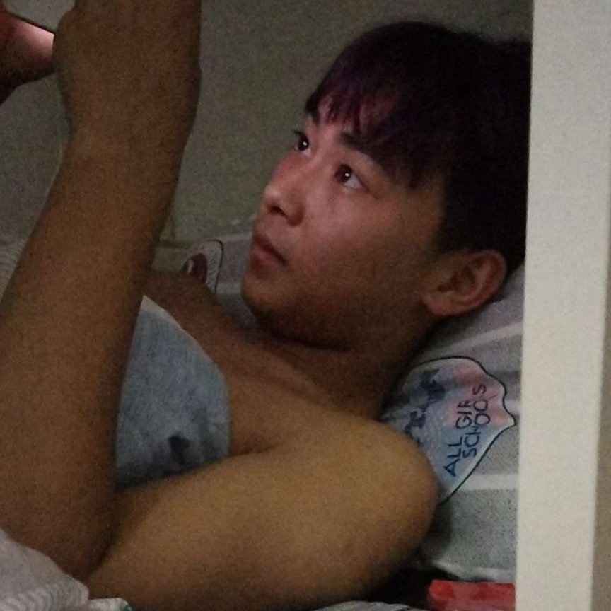 落寞拾忆含羞草的照片
