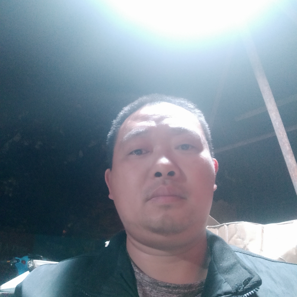 玫瑰舒心的照片
