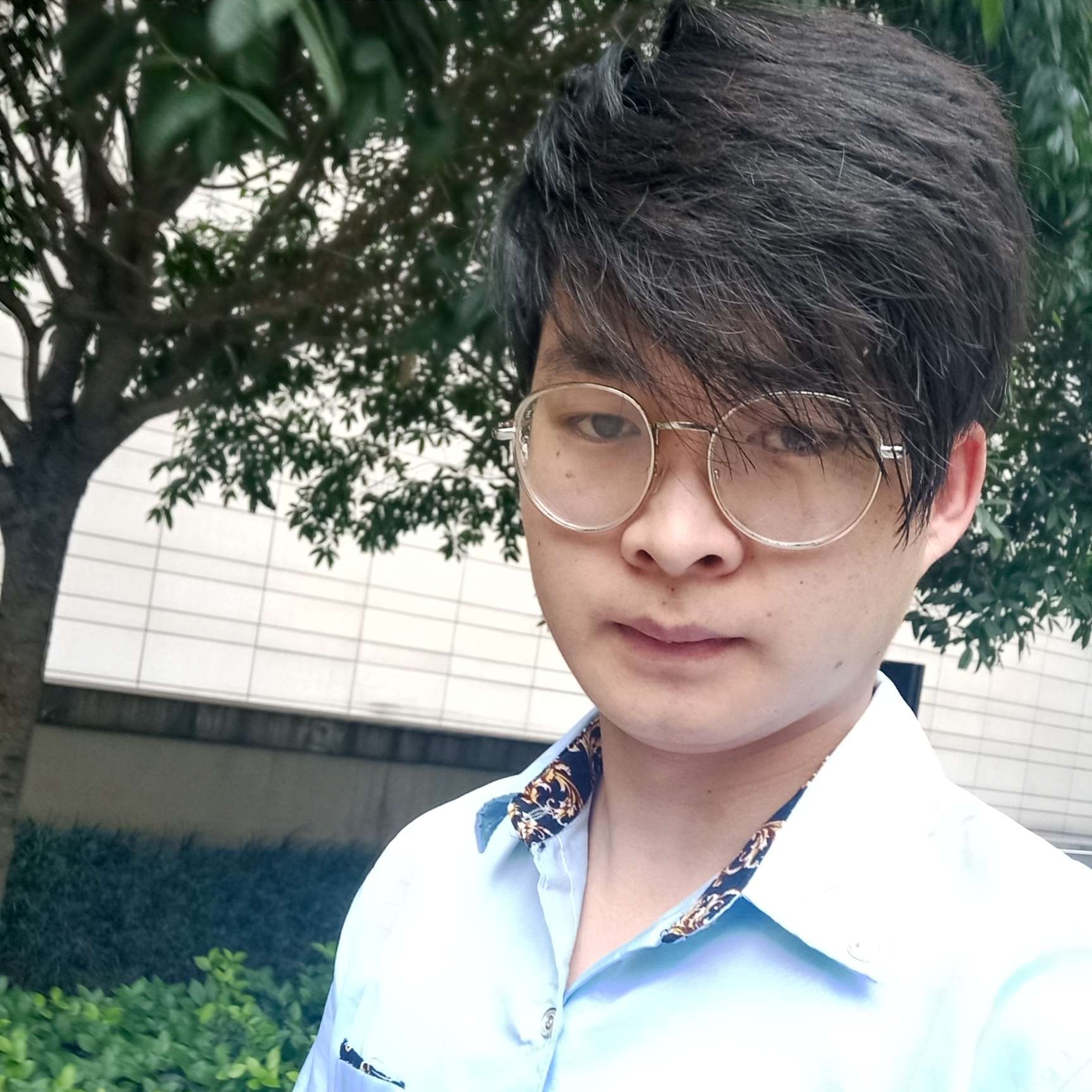柠檬迎现实的照片