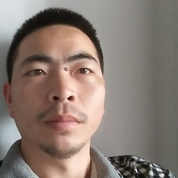 奔跑的小胖。的照片