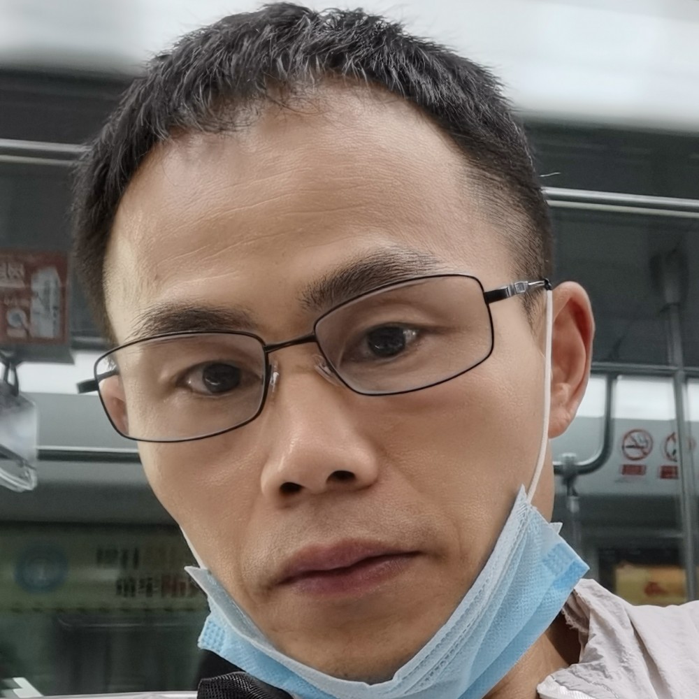 大雁改变奋斗的照片