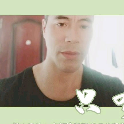 直率老鼠的照片