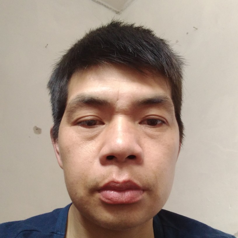 小蝴蝶浅吻温柔的照片