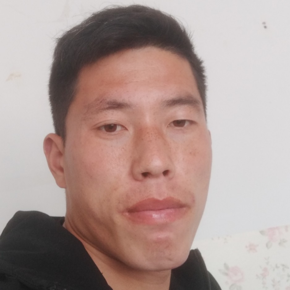 蚂蚁森林的照片